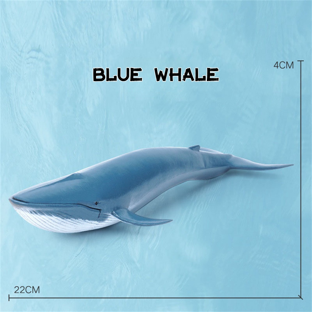 Miniature Marine Animal Solid Models Dolphin Whale Shark Model Ocean ...