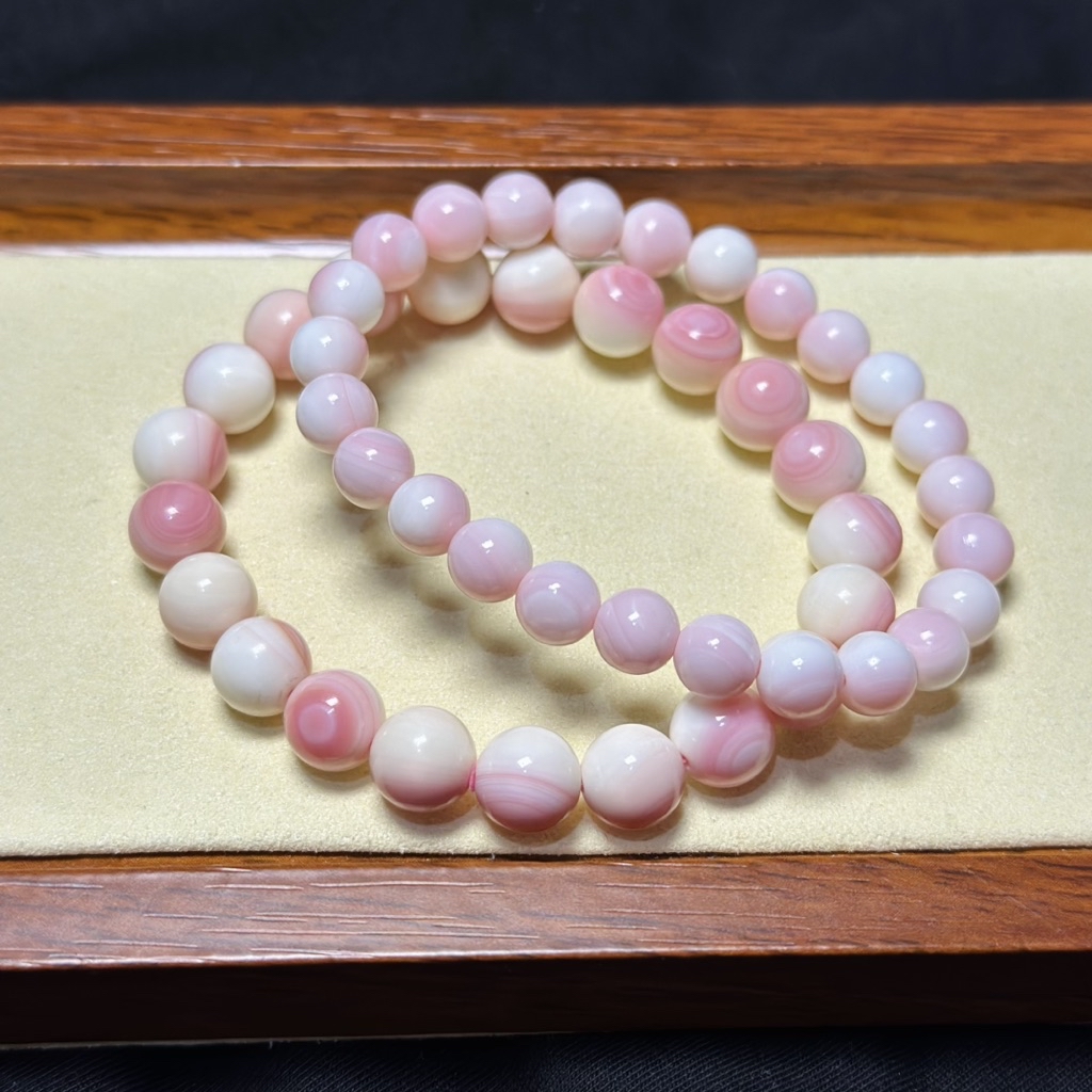ASTERA Queen Conch Shell with certificate | Shopee Philippines