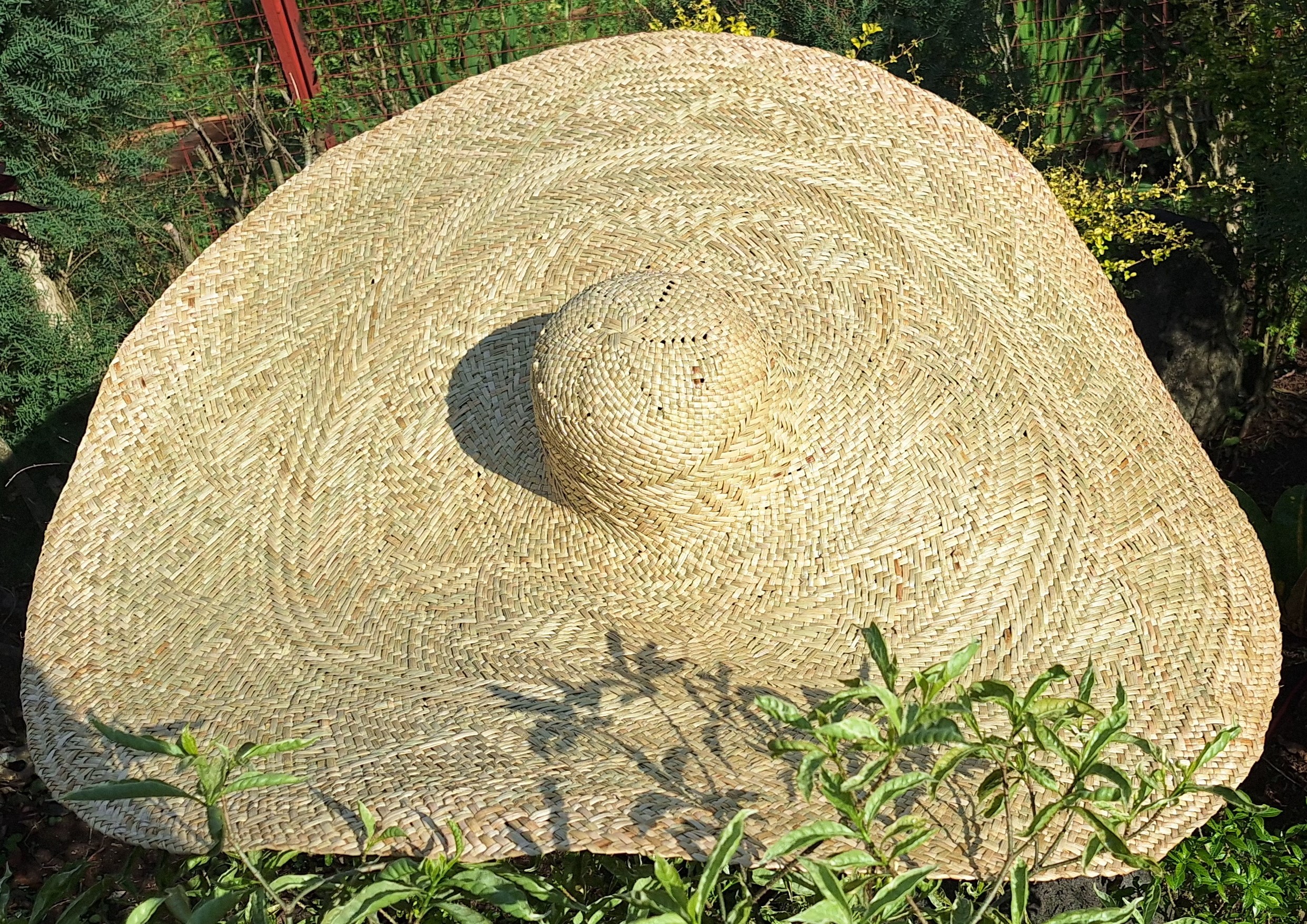 TWWA Tagolwanen Handwoven Sodsod Grass Wide Brim Banig Beach Hat ...
