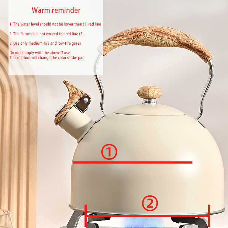 Aazon.co: Electric Tea Kettle - Sotya 57OZ Stainless Steel Kettle Water Boiler With Stay Cool