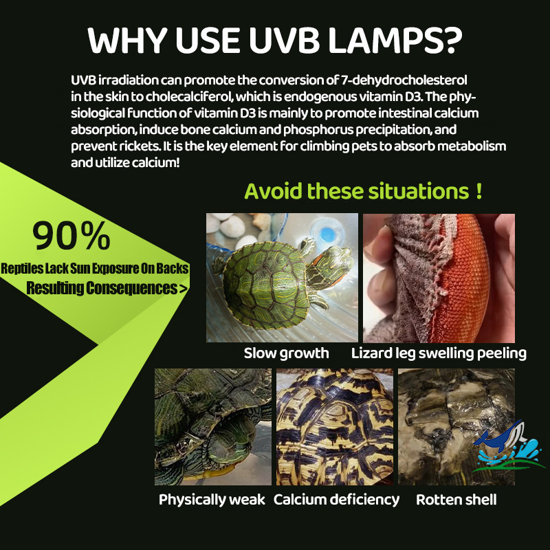 25W-75W Reptile Heat Lamp UVA UVB with Holder&Switch for Lizard Turtle ...