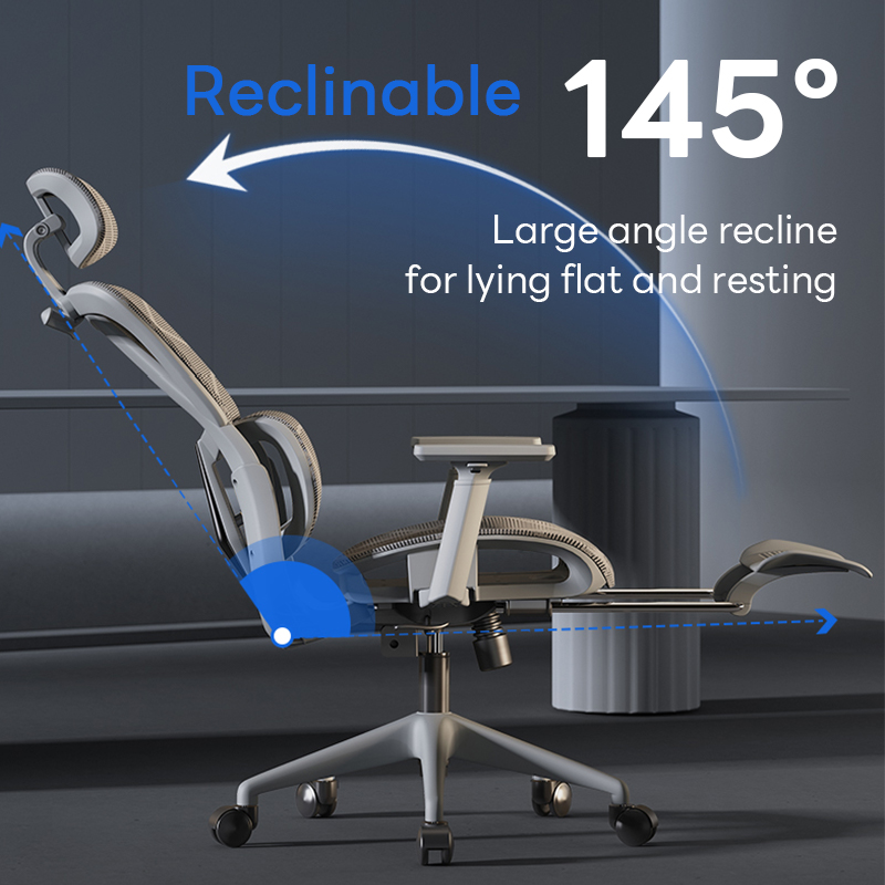 Xpanse LS918 Ergonomic Office Chair Study Chair Reclining Gaming Chair ...
