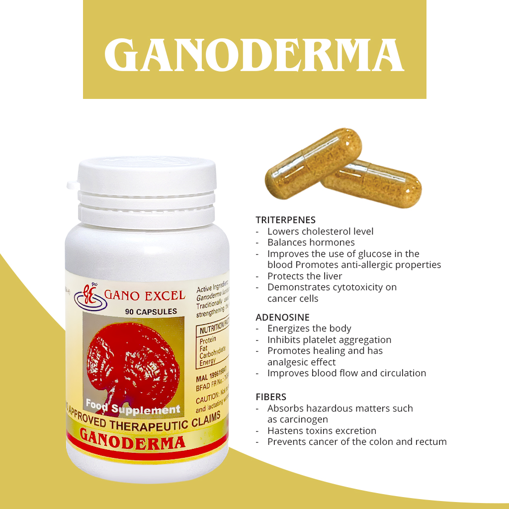 GANO EXCEL GANODERMA FOOD SUPPLEMENT CAPSULES 90s | Shopee Philippines