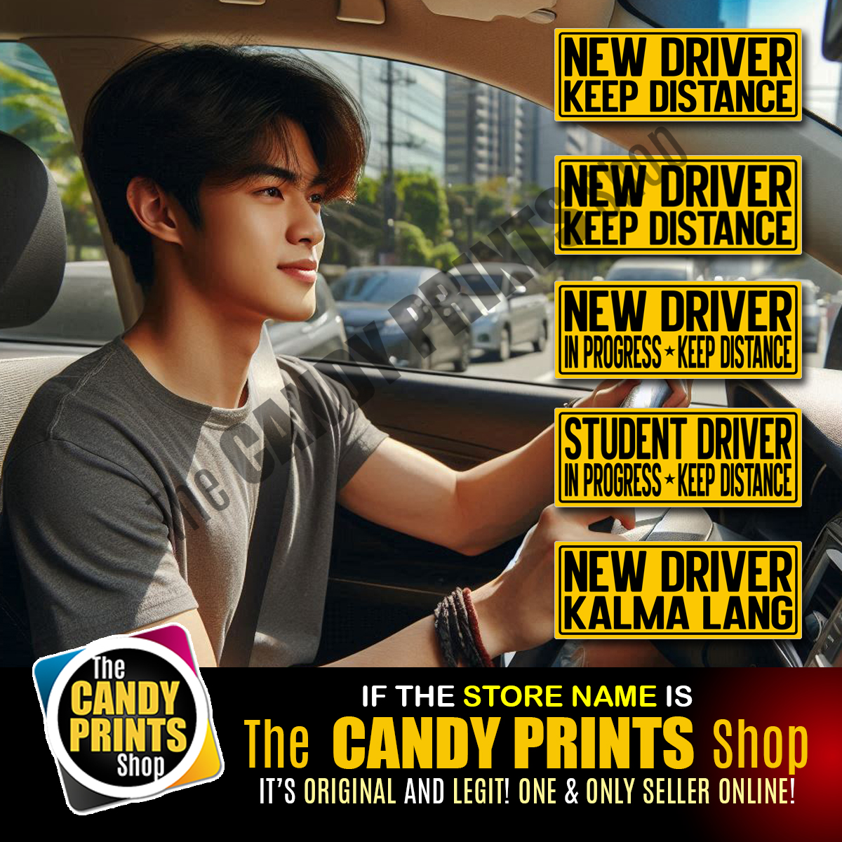 10 x 4 inches - Magnetic & Vinyl Car Sticker (NEW & LADY DRIVER, SENIOR ...