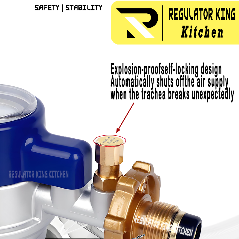 IC-777 Heavy Duty LPG Regulator with Auto Shut-Off Safety Gas Leak ...