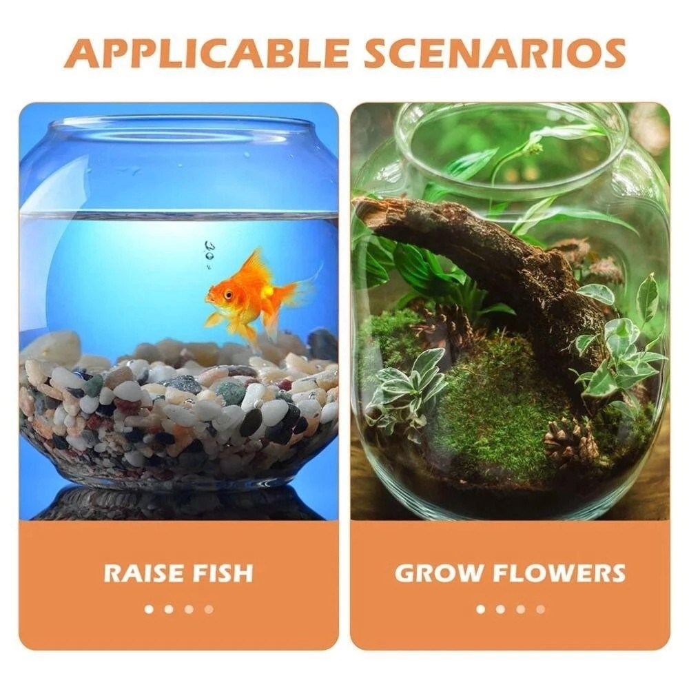 Curated visual reference: Picture Idea: Fish Bowl Hight Transparent Aquarium Small Fish Tank Unbreakable