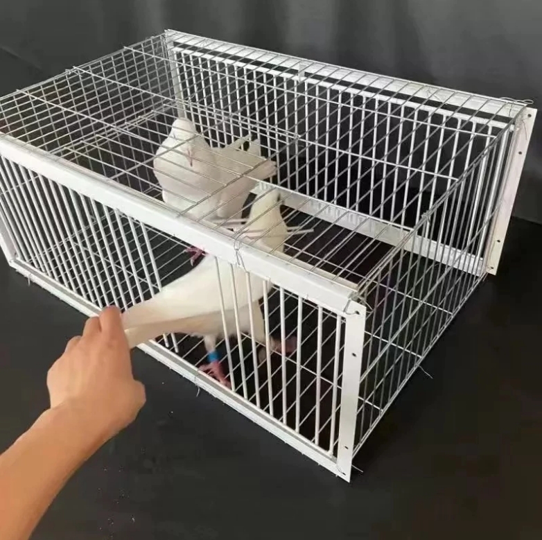 Bird Cage Trap, Pigeon Traps, Can Enter But Cannot Leave. Traps, Bird ...