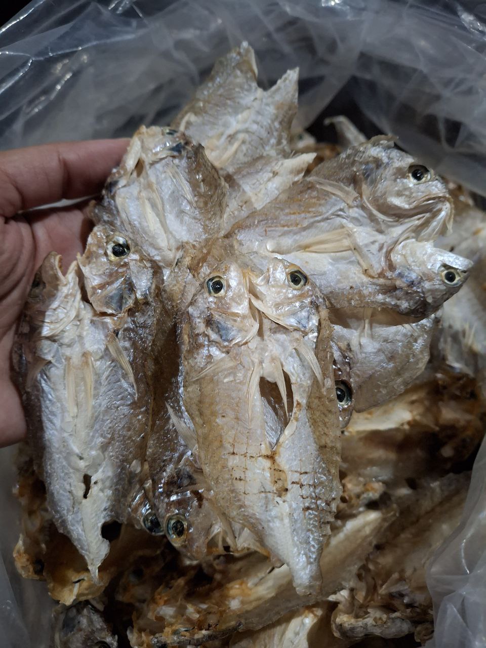 Danggit Bicol (Unsalted) 100g | Dried Fish| Vacuum Sealed | Plastic ...