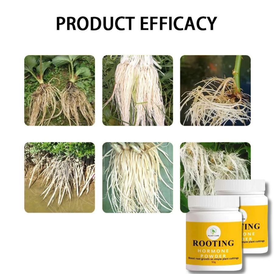 Rooting Hormone 50G - Rooting Powder For Fast Plant Growth - Organic ...