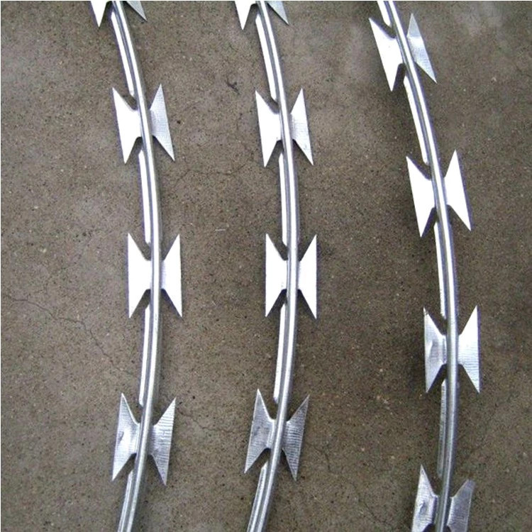 100M Steel Barbed razor Wire Prison / Galvanized / Straight Type Razor ...
