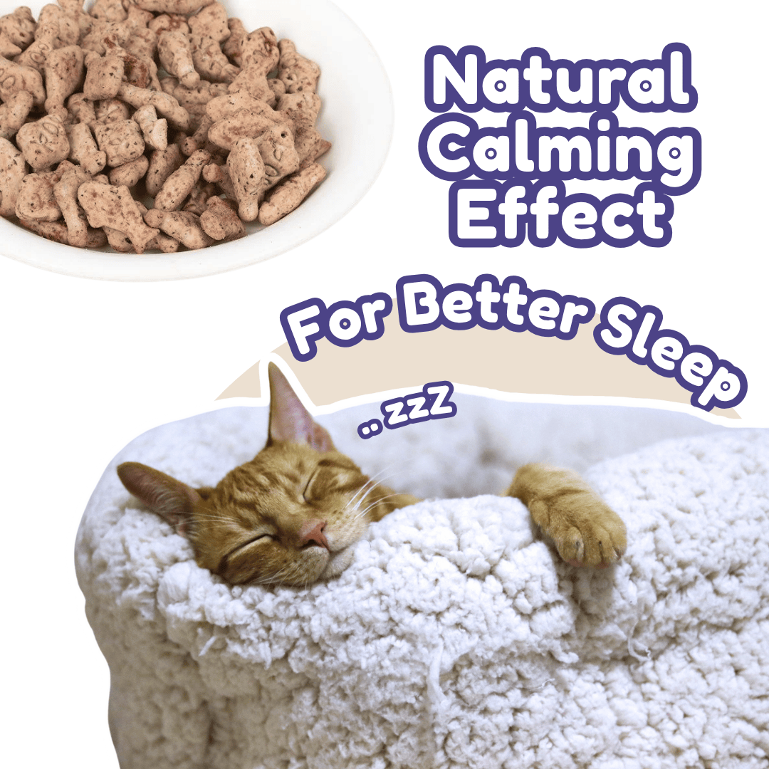Curated visual reference: Fresh Look at Lkj Cat Treats Snacks Nutrifur Calming Catnip Biscuit For Cats