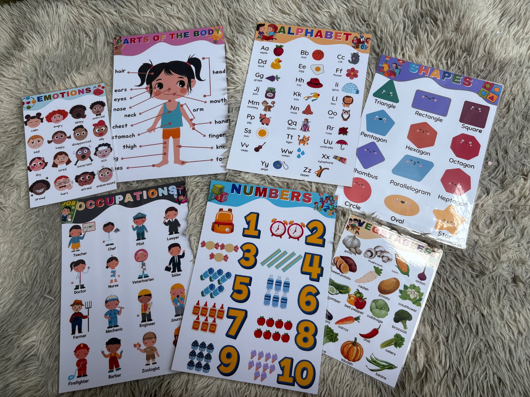 Laminated Educational Wall Charts for Kids | Shopee Philippines