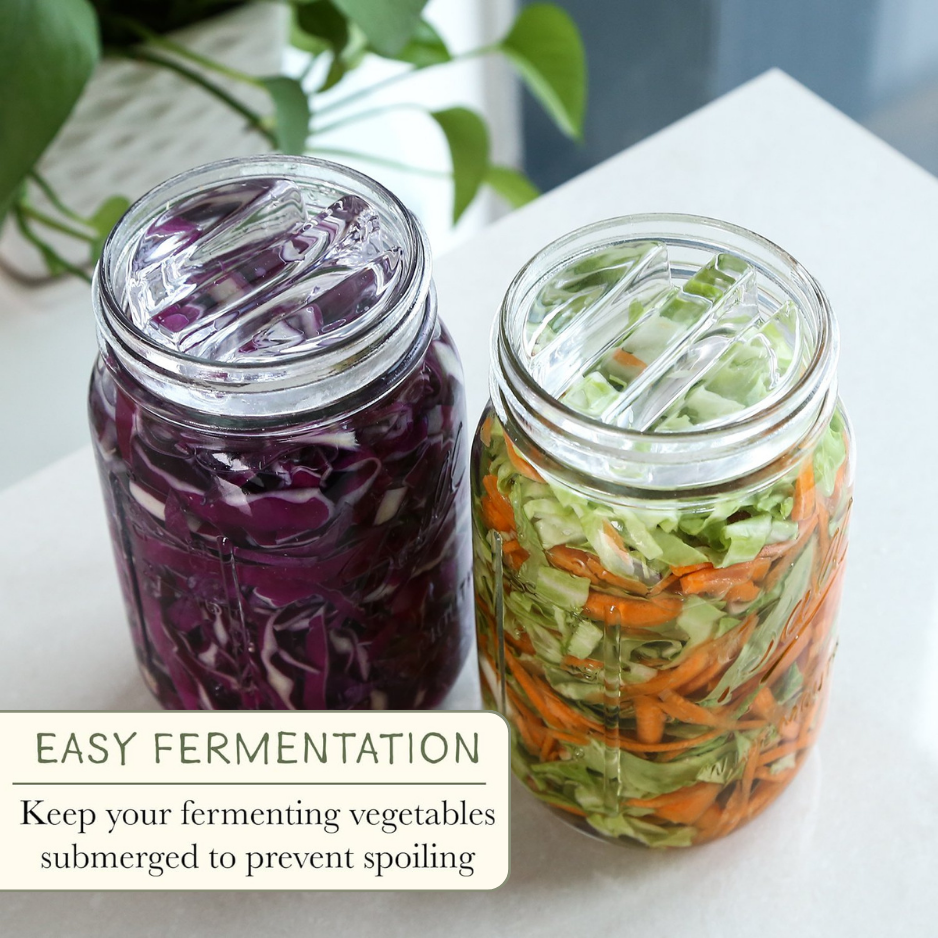 Famillo® Fermentation Glass Weight – Easy Grip (Bar Handle ...