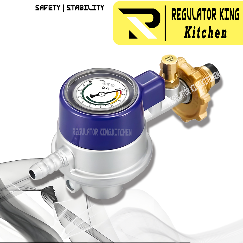 IC-777 Heavy Duty LPG Regulator with Auto Shut-Off Safety Gas Leak ...