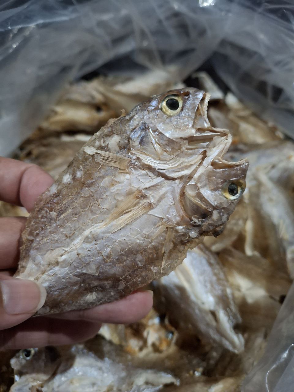 Danggit Bicol (Unsalted) 100g | Dried Fish| Vacuum Sealed | Plastic ...