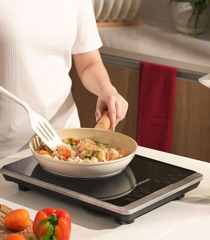 Eureka by Winland Induction Cooker Box Type Single Hob 9-Power Levels ...
