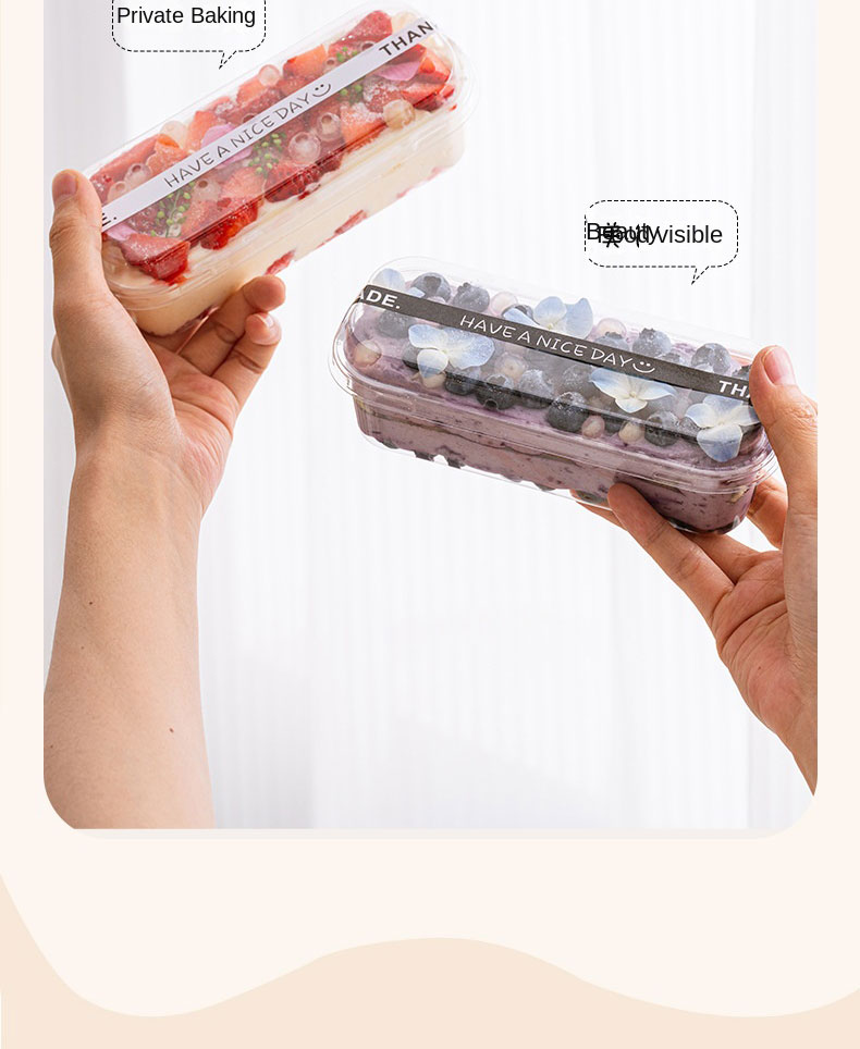 10Pcs Rectangle Cake Container Loaf Deli Container Clear Rectangle ...