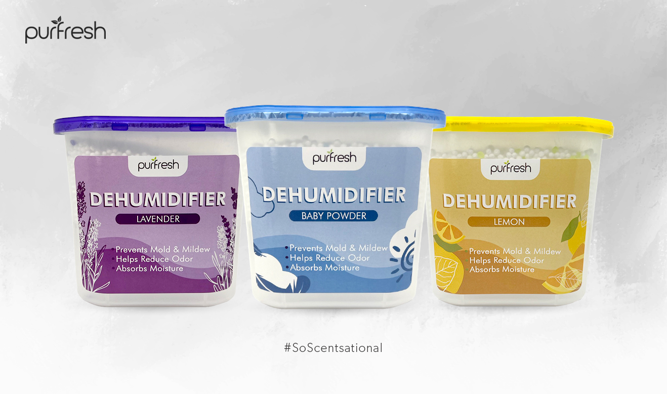 Purfresh Scented Dehumidifier Absorbs Moisture Room, Closet, Car 800ml ...