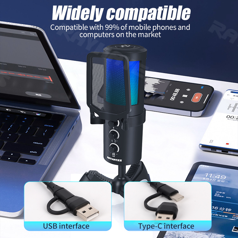 RAYHAYES JI-MV1 USB Microphone RGB Gaming Mic Condenser Mic Noise ...