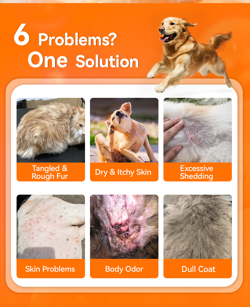 The Benefits of Oatmeal Shampoo for Dogs with Itchy Skin - Shampoo For Dogs With Skin Allergies And Irritations