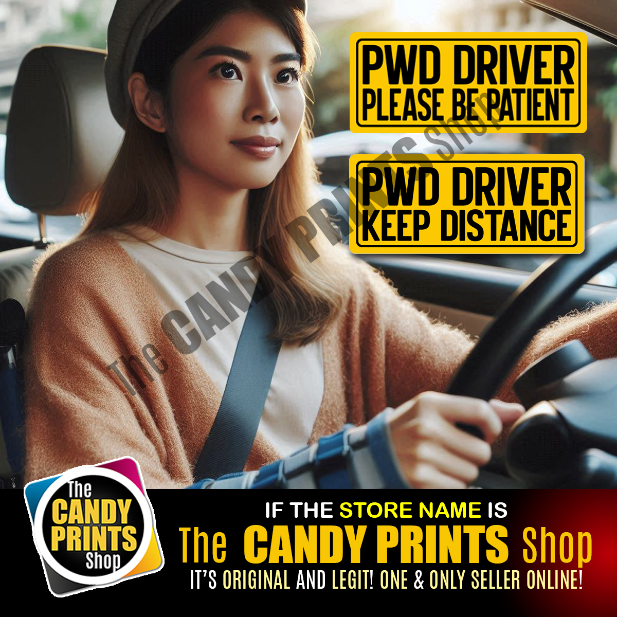 7 x 3 inches - Magnetic and Vinyl Car Sticker (NEW & LADY DRIVER ...