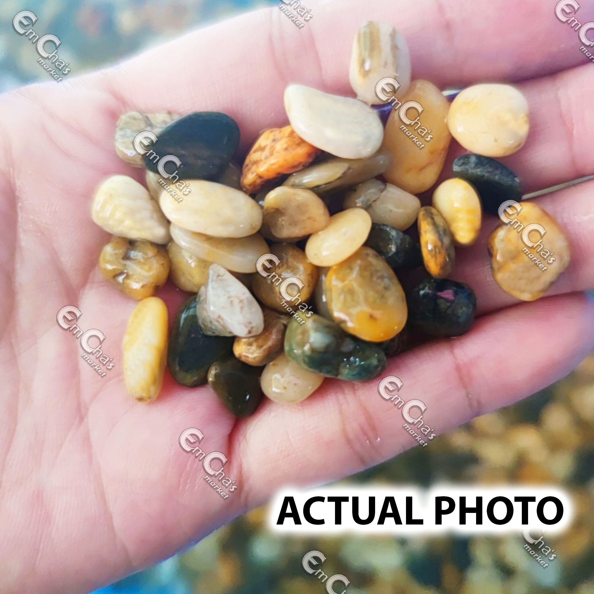 1kg Original Mindanao Pebbles Assorted (SMALL SIZE) Aquarium Decoration ...