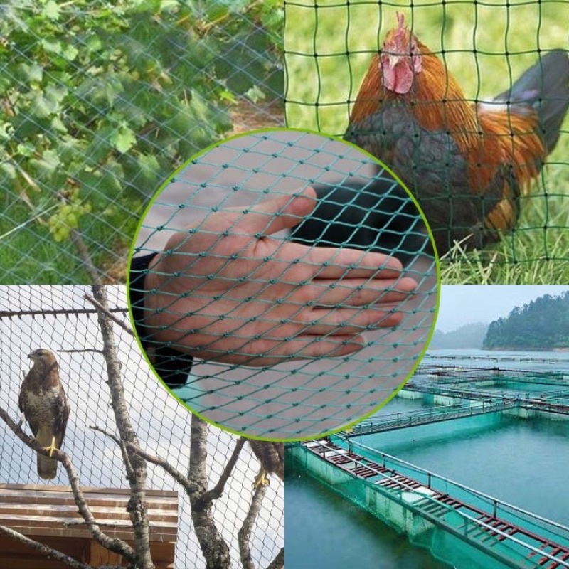 Chicken Net 20/50/100 Meters Poultry Net Farm Net Range Net Fish Net ...