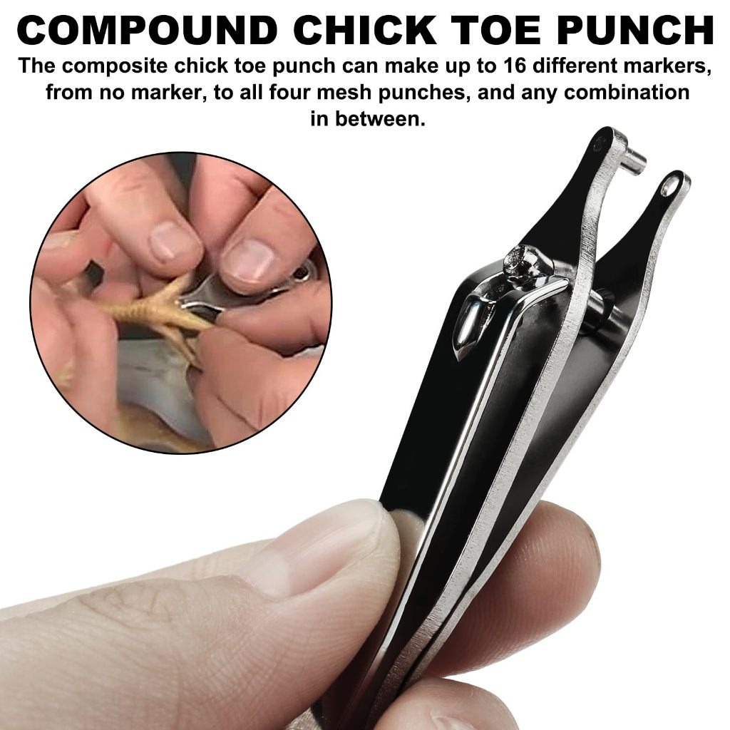 2mm Stainless Steel Chick Toe Puncher Marking Tags Gamefowl Chick for ...
