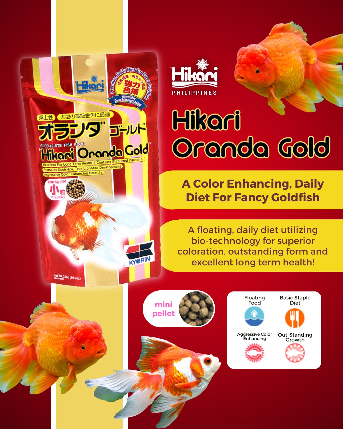 Hikari Oranda Gold Mini Floating 300g | Shopee Philippines