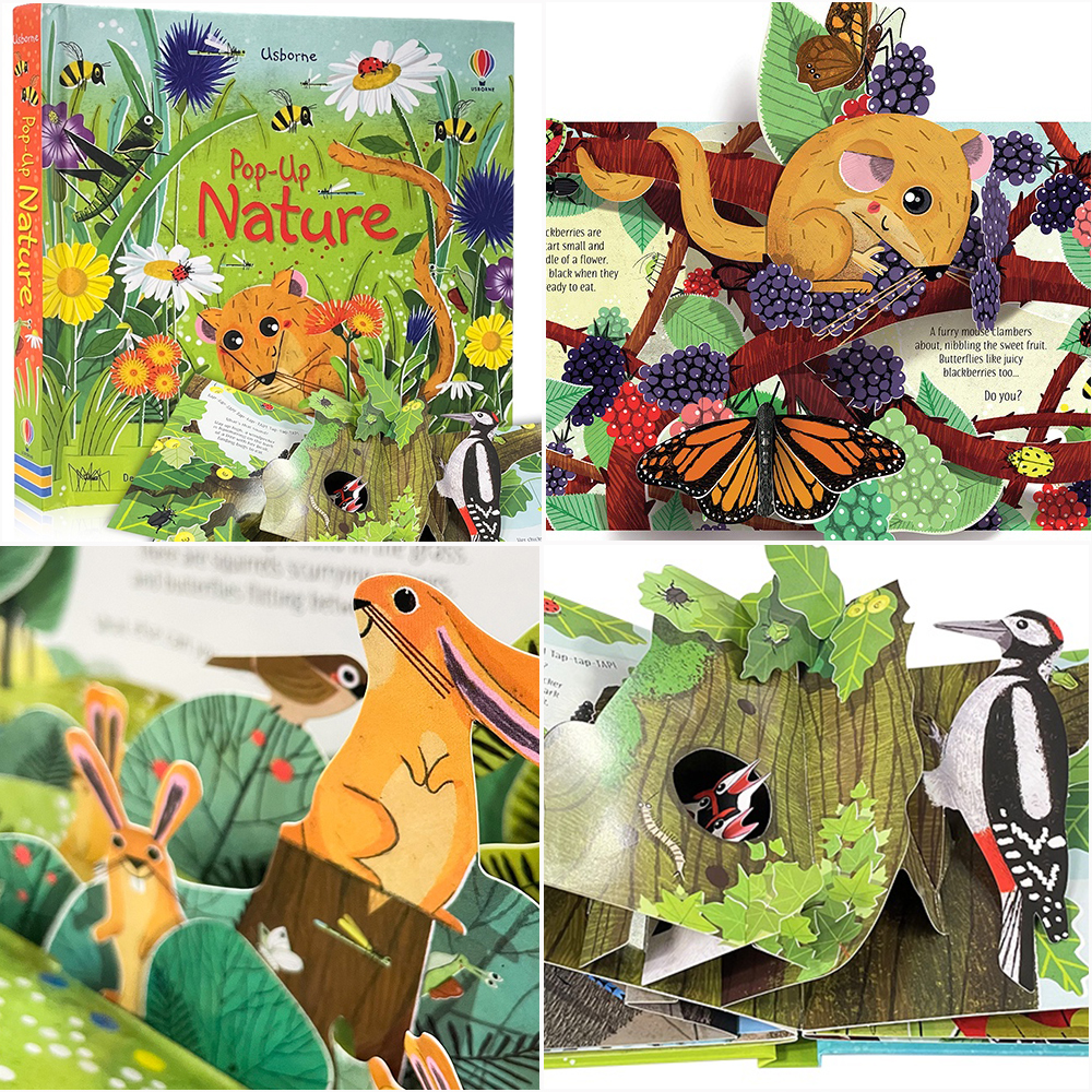 Usborne Pop-Up Fairy Tale Three Little Pigs 3D Flap Picture Books Kids ...
