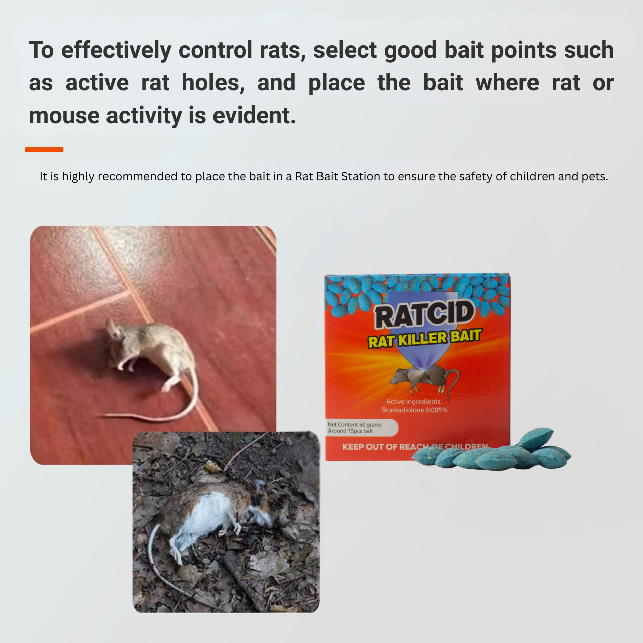 Rat Bait Wax Pill type 50grams around 15pcs Ratcid- Rat Killer, Rat ...