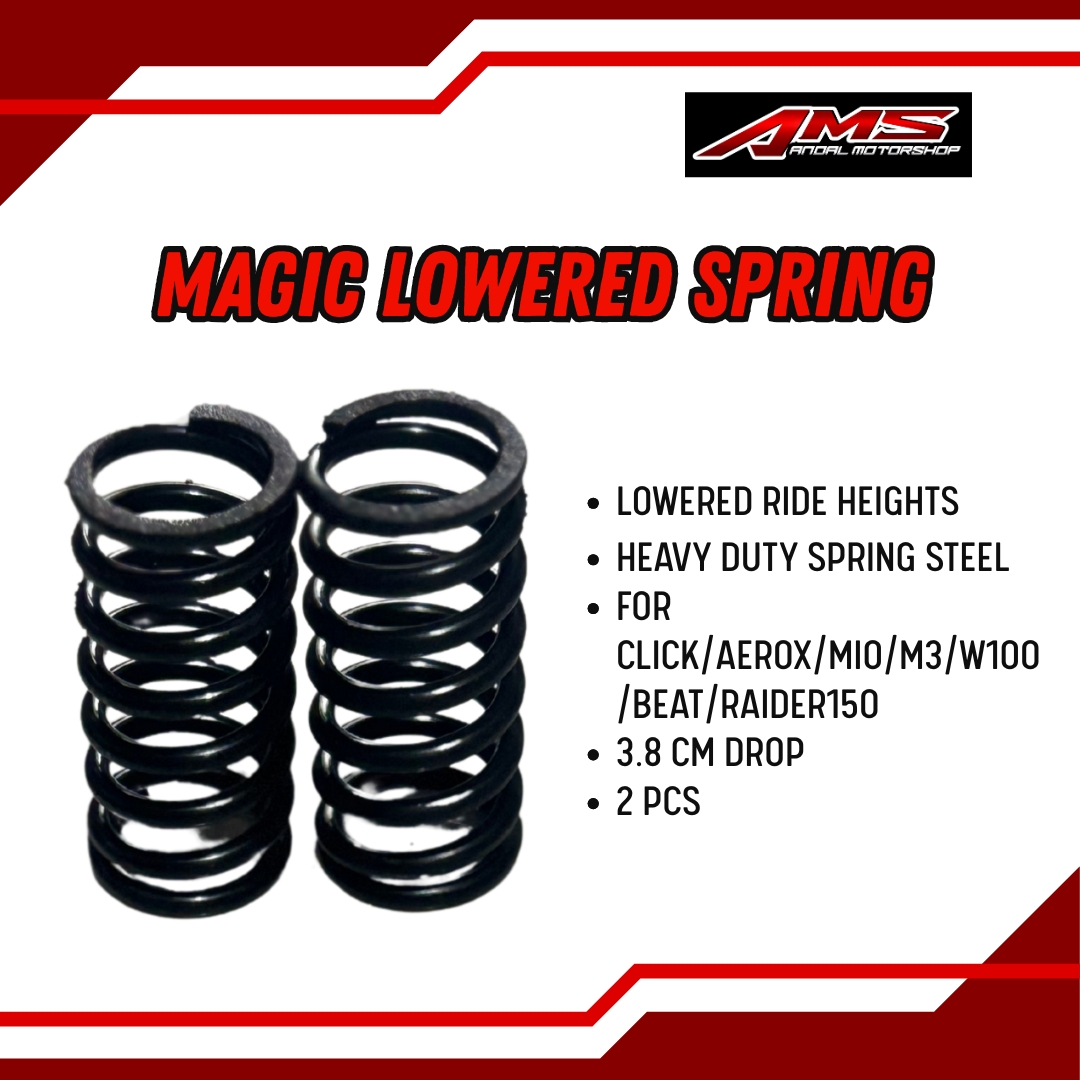 Magic Lowered Spring / Spring Rebound – Front Shock Drop 3.8cm 2PCS for ...