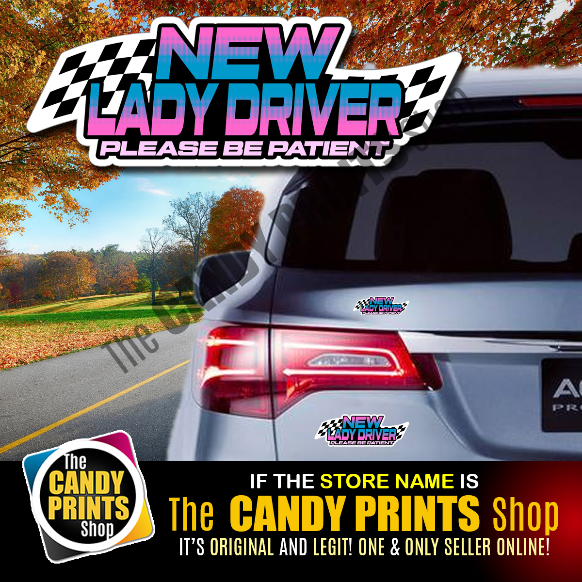 Vinyl (Non-Magnetic) Car Sticker CHECKERED SERIES 02 - NEW LADY DRIVER ...