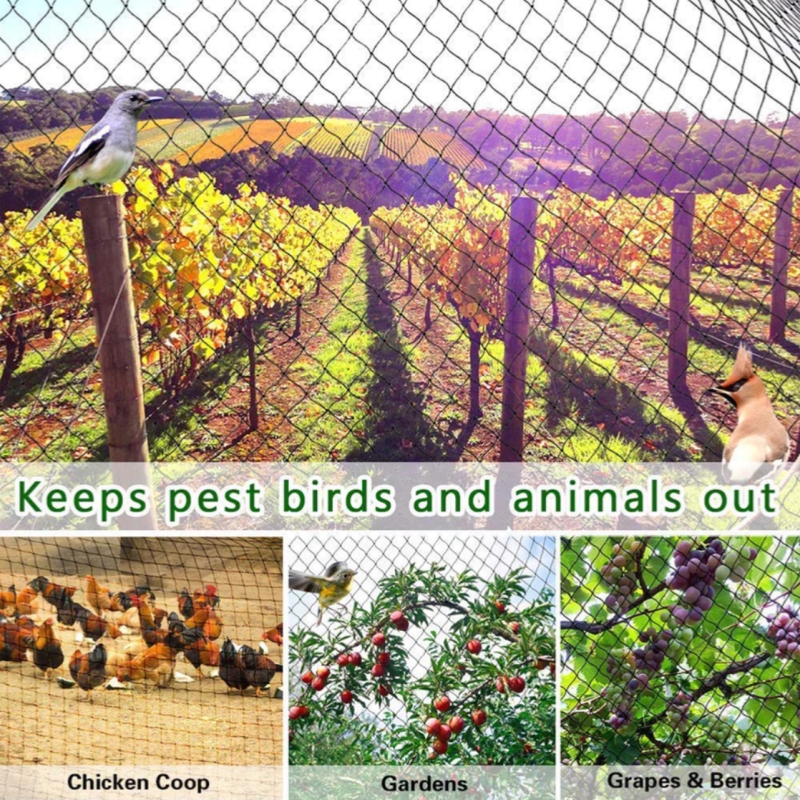 50M/100M Chicken Net Rangenet With Free Rope Cable Tie Breeding Net ...