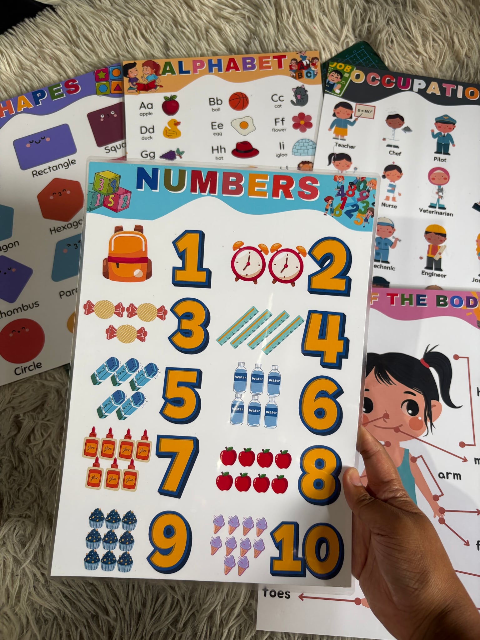 Laminated Educational Wall Charts for Kids | Shopee Philippines