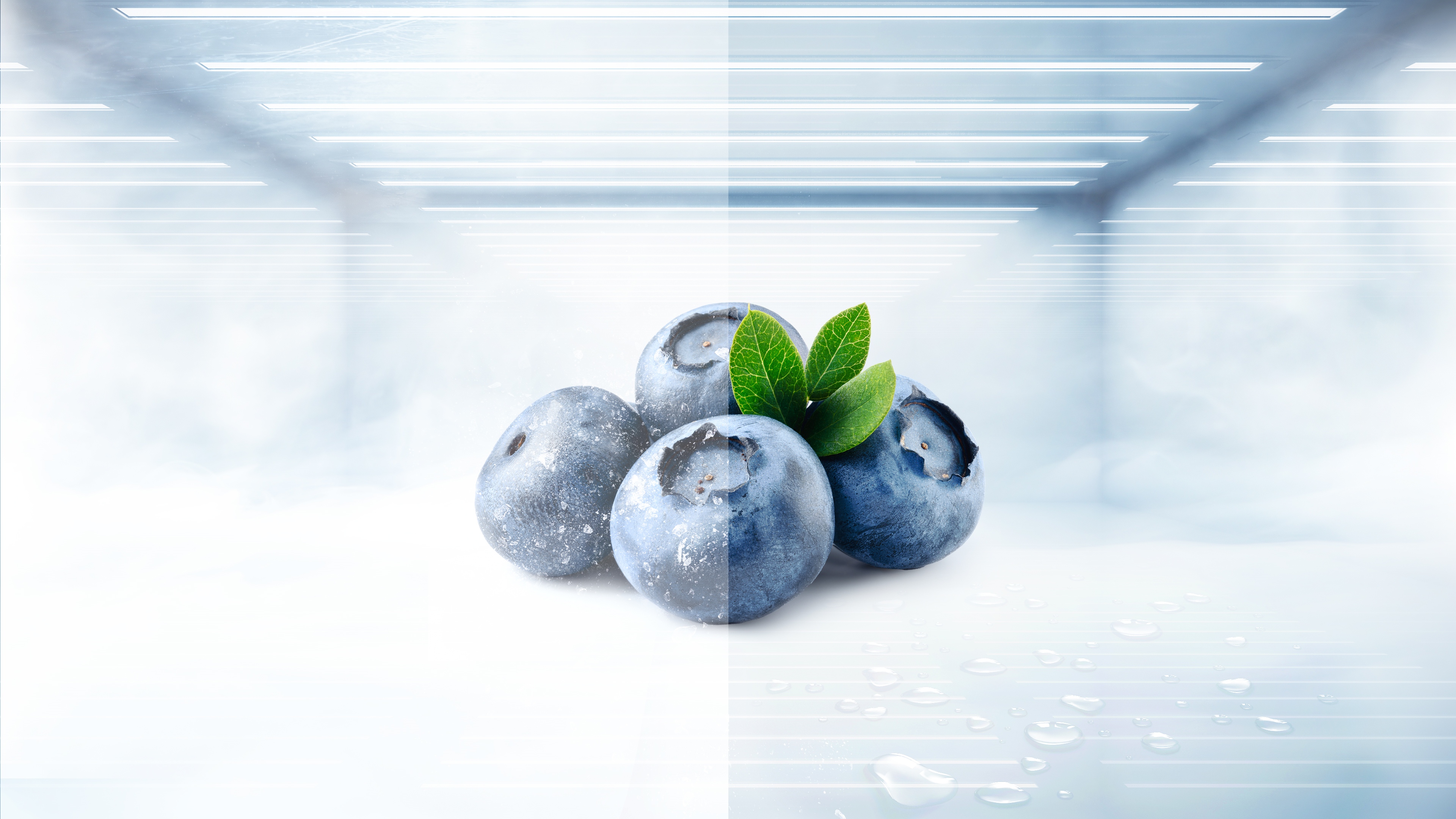 TCL 15.18 cu.ft. Twin Eco Inverter Cross Door Refrigerator - TRF ...