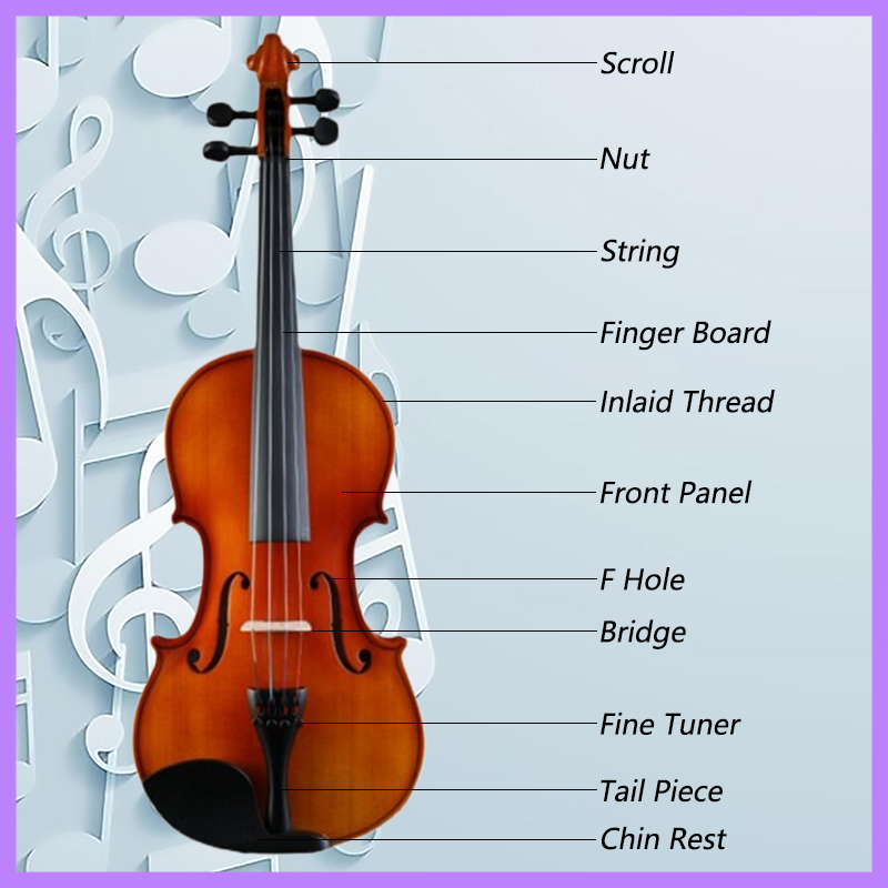 Heart String Violin Set Full Size Handmade Wooden Violin Instrument for ...