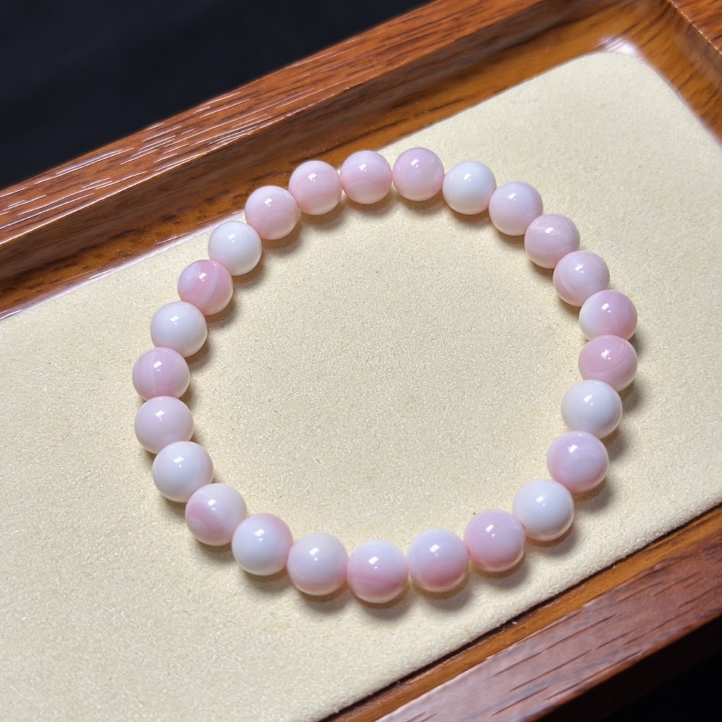 ASTERA Queen Conch Shell with certificate | Shopee Philippines