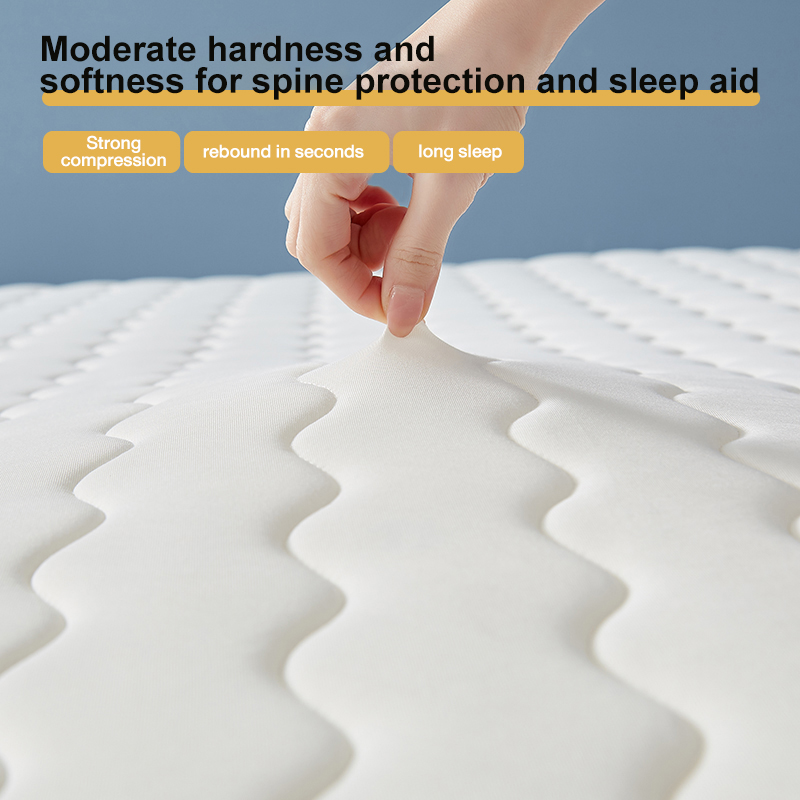 Sponge Mattress High-Density Memory Foam Back Care Antibacterial & Dust ...