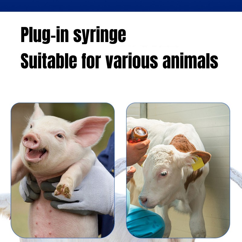 Continuous injection syringe for animal vaccines, premium injection ...