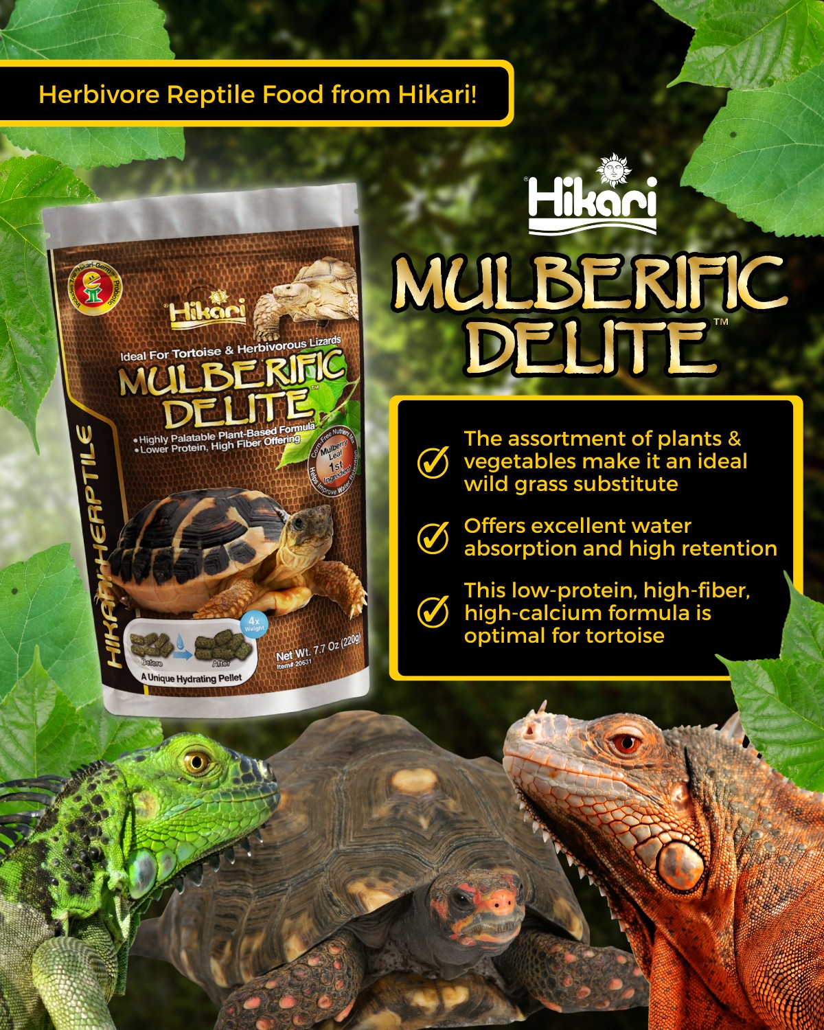 Hikari Herptile Mulberific Delite 650g (Food for Tortoise Turtle ...