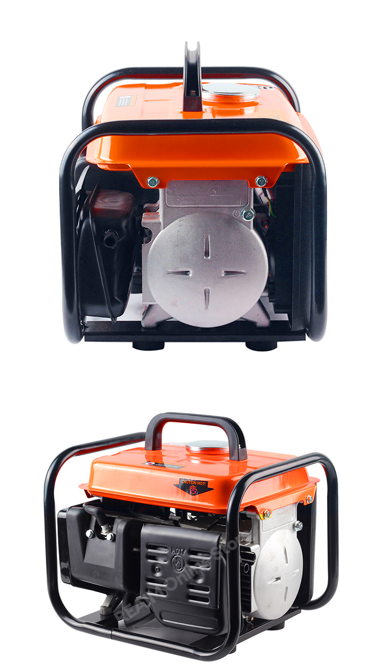 REAIM Gasoline Generator Portable 2 Stroke 220V Household Home Outdoor ...