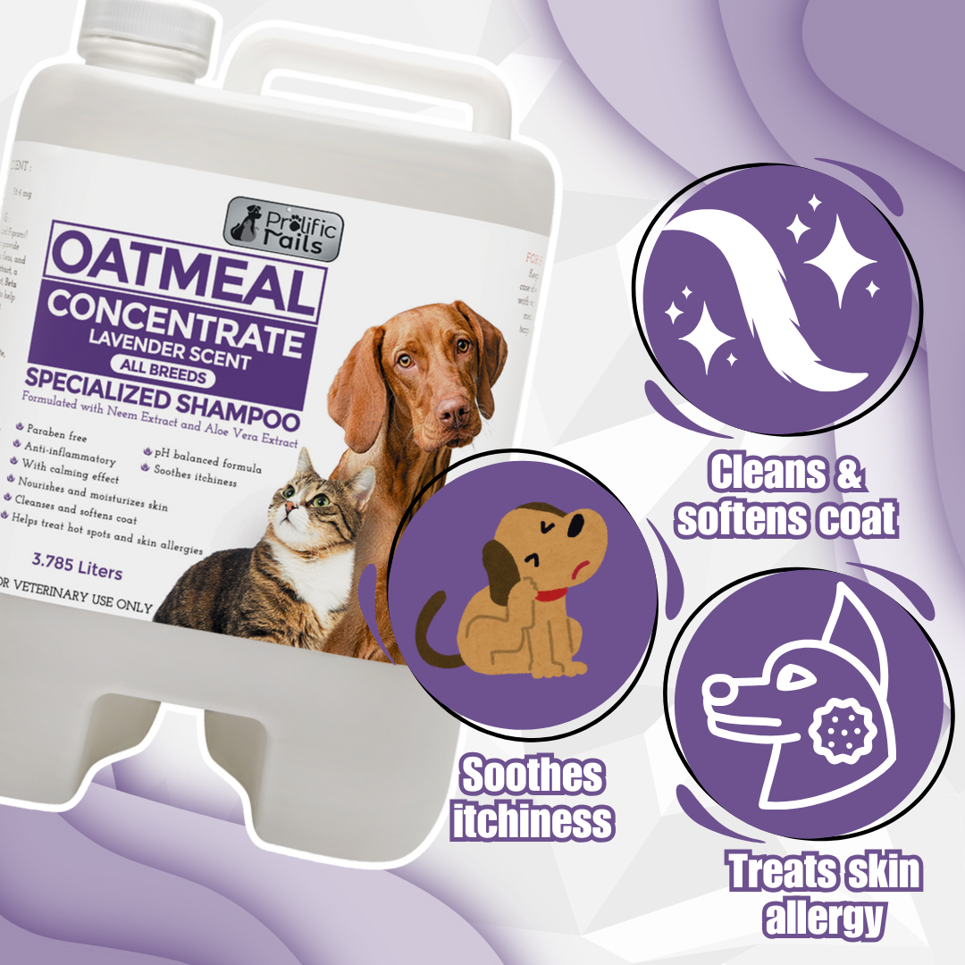 Image showcasing LKJ- For Sensitive Skin, Anti-itch Oatmeal Concentrate Specialized ...