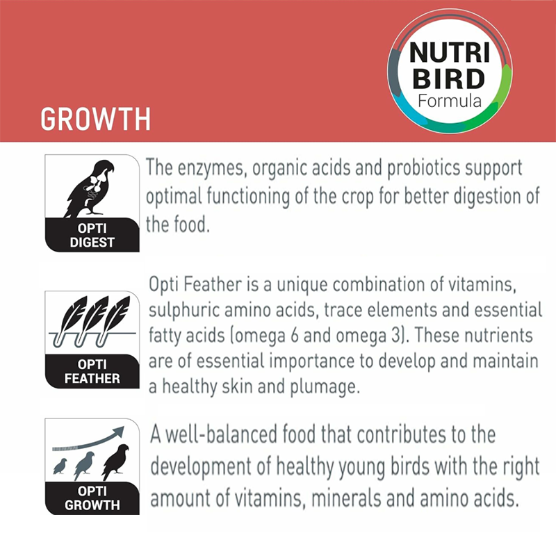 Versele Laga NutriBird A21 Bird Parrot Hand Feed Formula Milk Powder ...