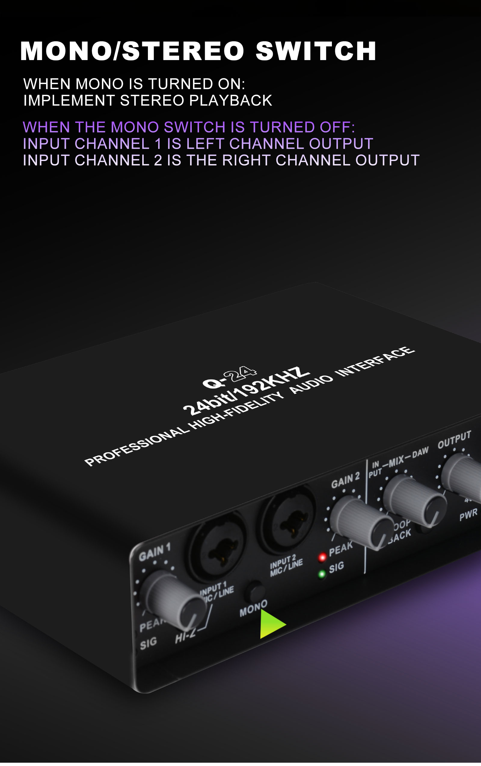 Q24 Audio Interface Professional Sound Card with Monitoring Electric ...
