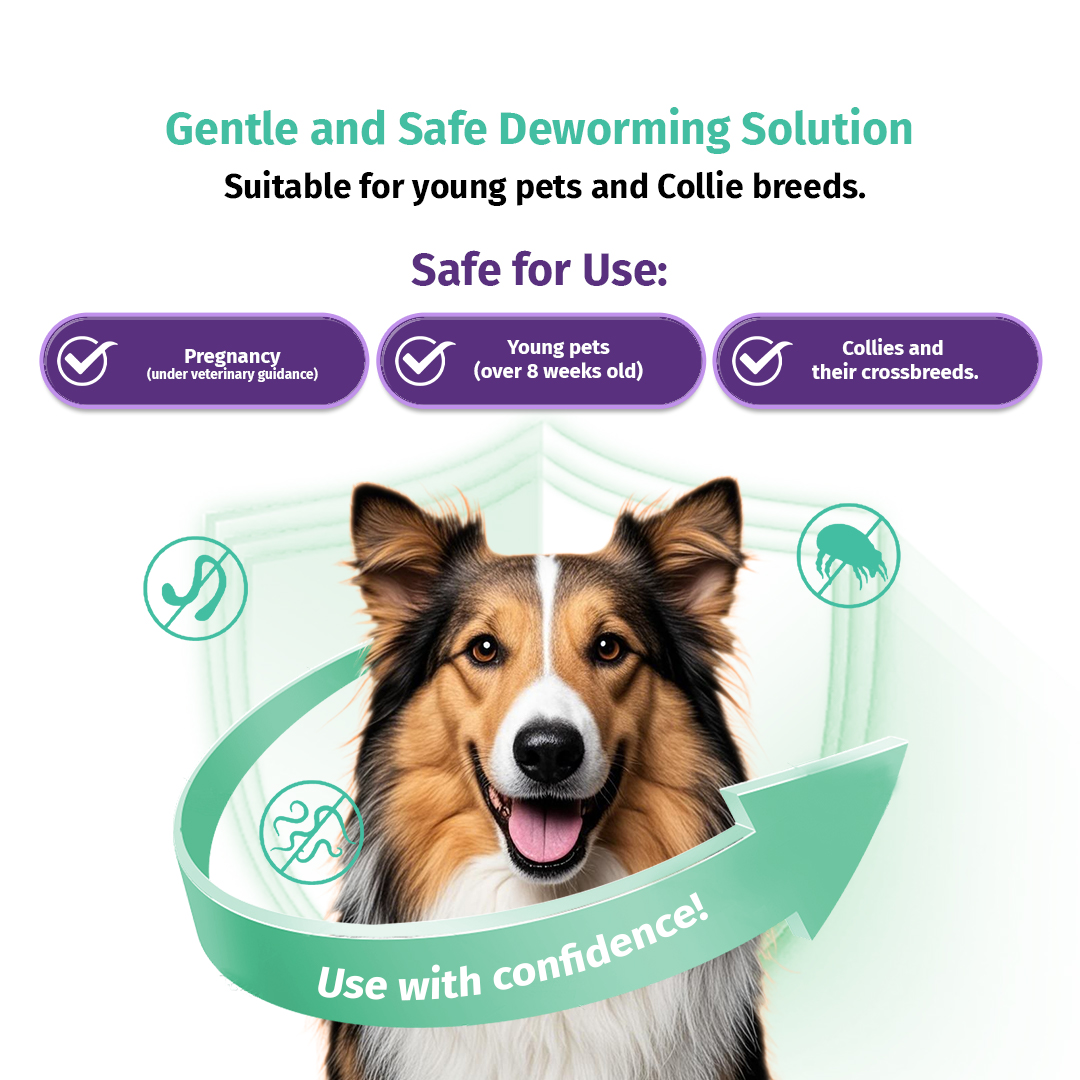 Visual Reference: Hegen Pet Tick Flea Spot On Treatment Dewormer For Dog