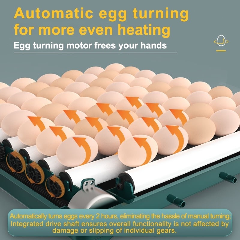 Egg Incubator Fully Automatic Egg Incubator Intelligent Digital Hatcher ...