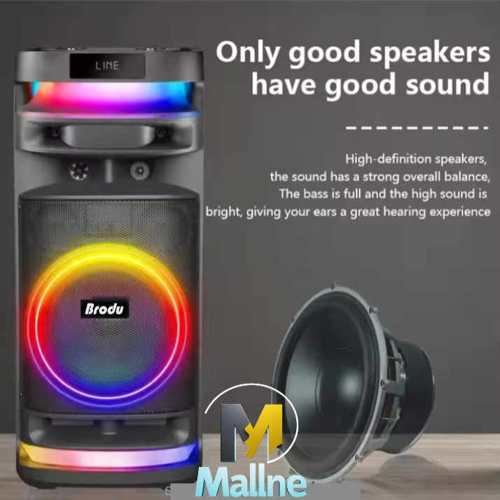 Brodu BTS-2250 Portable Bluetooth Dual professional Karaoke Speaker ...
