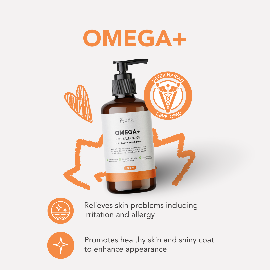 CANINE SCIENCE Omega+ 100 Salmon Oil For Dogs Healthy Skin & Coat
