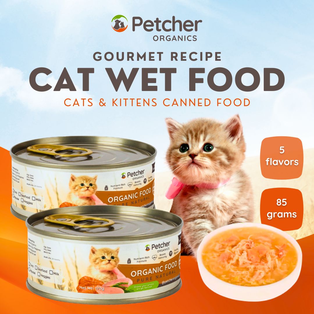 A closer look at Kittens Organic Wet Food For Kittens Over 1 Year